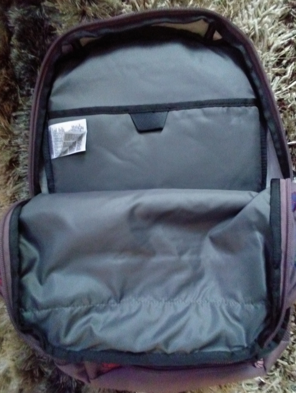 The North Face Jester Backpack in Fawn Grey Fall w/Purple ๐ Accents + Bonus - Picture 6 of 11